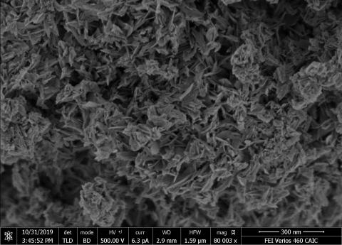 Octa-calcium phosphate imaged uncoated in UC/BD mode using a 2000 V stage bias (OCP-L-50%, Rui Li, Duer Group, Dept. of Chemistry, Cambridge).