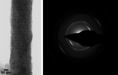 Bovine tendon collagen mineralized in vitro; the arc-shaped SAED pattern indicates the ordered orientation of the calcium phosphate mineral platelets along the fibril (Karin Müller, Prof. Melinda Duer, Prof. Cathy Shanahan; doi.org/10.1016/j.celrep.2019.0