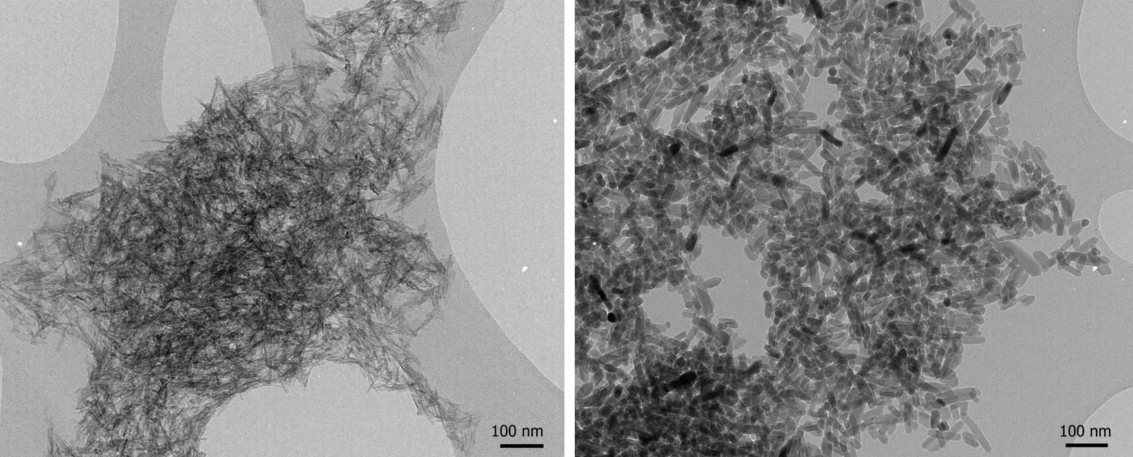 Calcium phosphate wet precipitate before (left) and after (right) autoclave treatment (Karin Müller, CAIC, doi.org/10.1016/j.biomaterials.2013.10.041).