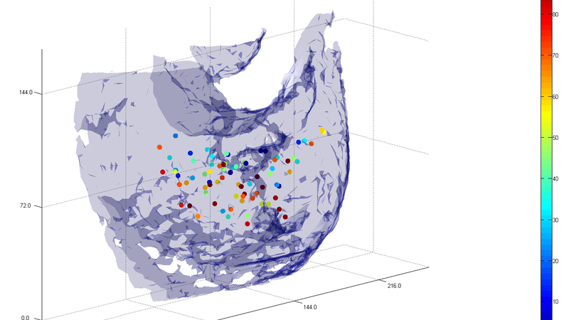 Cell division statistics