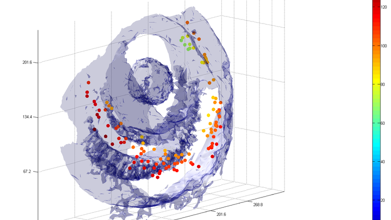Divisions - colour coded distance