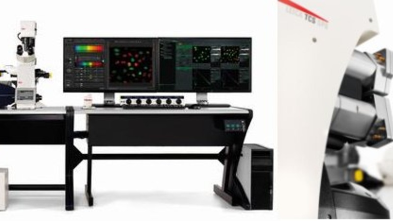 Confocal Microscopes (Leica SP8, Leica SP8 with FRAP and Zeiss LSM 900 with Airyscan)