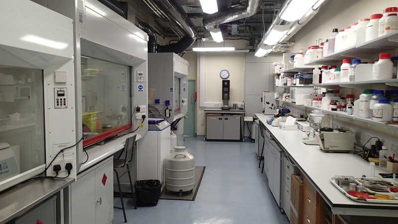 CAIC main specimen preparation lab