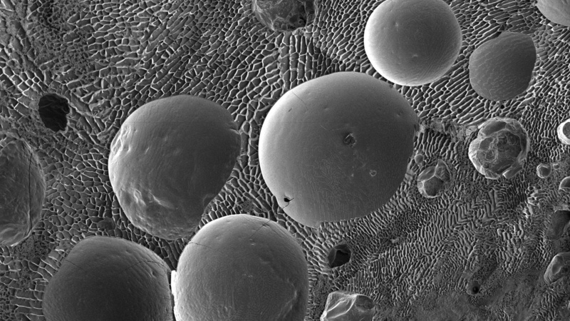Curdled milk (fractured) showing round milk fat globules within a water/solute matrix (Karin Müller, CAIC, Cambridge)
