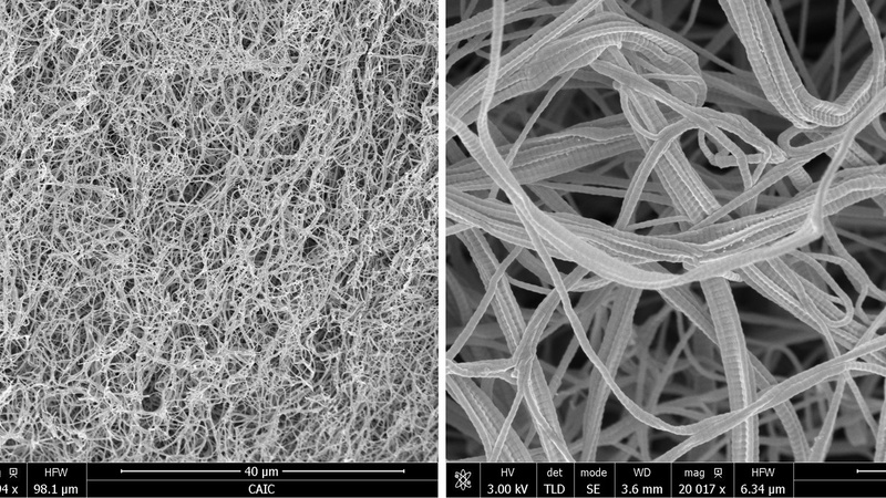 Artificial scaffold engineered from reformed collagen mimicking the extracellular matrix intended as 3D growth matrix for cancer cells (Rakesh Rajan, Prof. Melinda Duer Group, Dept. of Chemistry, Cambridge)