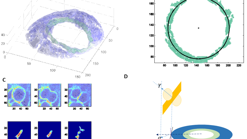 copy_of_DivisionSchema