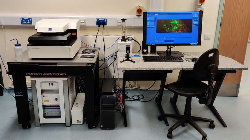 Zeiss Lattice Lightsheet 7 Image