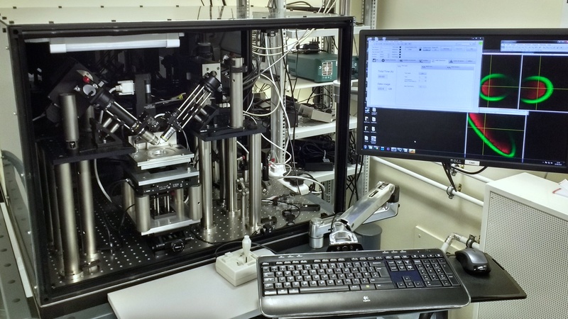 Upright light sheet microscope