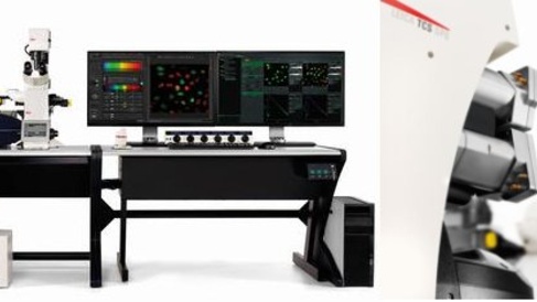 Confocal Microscopes (Leica SP8, Leica SP8 with FRAP and Zeiss LSM 900 with Airyscan)