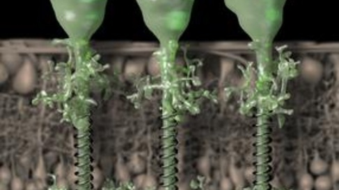 New publication in JCB includes CAIC ablation data