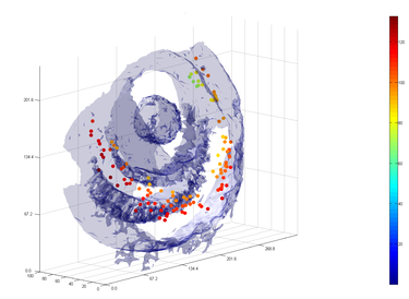 Divisions - colour coded distance