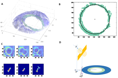 copy_of_DivisionSchema