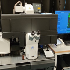 Zeiss LSM 900 with Airyscan 2