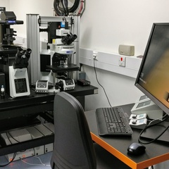 New STED super-resolution microscope