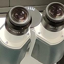 Zeiss LSM 900 with Airyscan 2