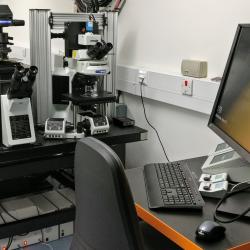 New STED super-resolution microscope