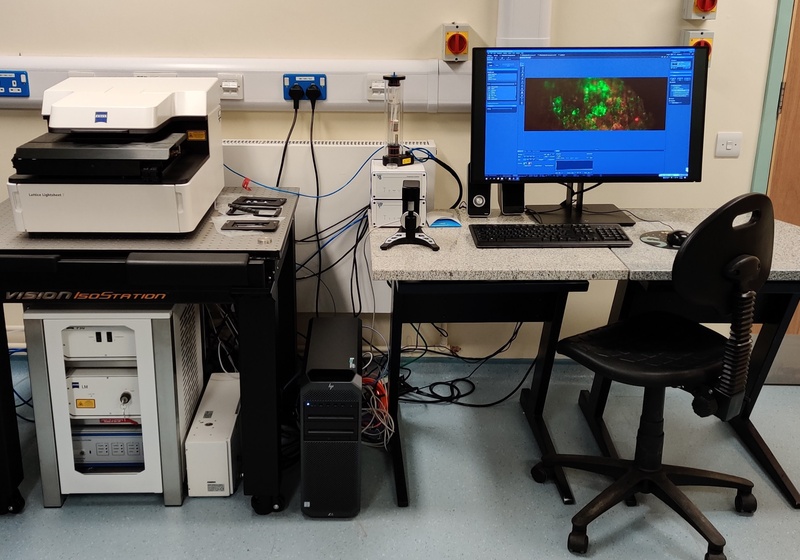 Zeiss Lattice Lightsheet 7 Image
