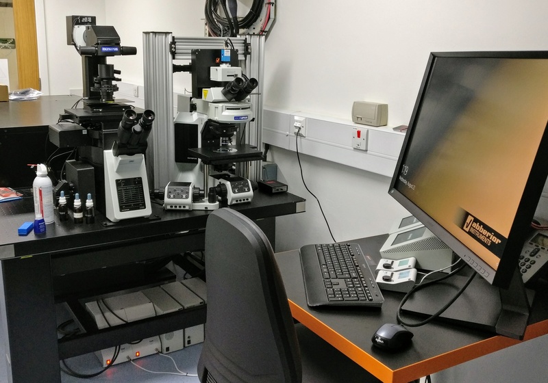 New STED super-resolution microscope